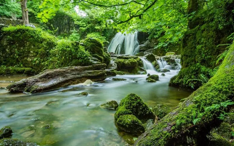 节能高精度智能系统